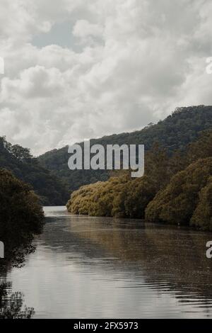 Soleil brillant sur les arbres au bord de l'eau sur une partie calme du ruisseau Berowra près de la rivière Hawkesbury. Banque D'Images