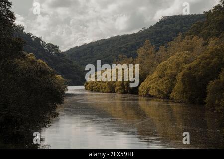 Soleil brillant sur les arbres au bord de l'eau sur une partie calme du ruisseau Berowra près de la rivière Hawkesbury. Banque D'Images