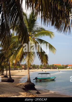 Cocotiers surplombant l'eau avec des bateaux de pêche à la plage de Pasikuda, Kalkudah, province du Nord, Sri Lanka Banque D'Images