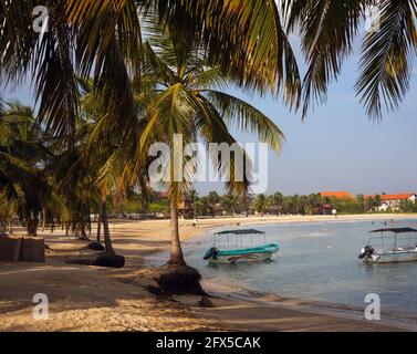 Cocotiers surplombant l'eau avec des bateaux de pêche à la plage de Pasikuda, Kalkudah, province du Nord, Sri Lanka Banque D'Images