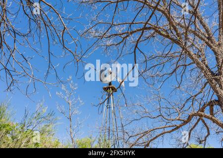 Moulin à vent sur Sam Nail Ranch, parc national de Big Bend, Texas, États-Unis Banque D'Images
