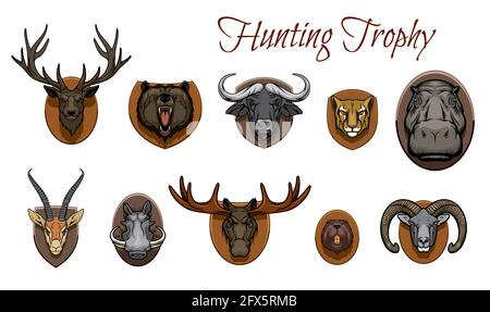 Trophées de chasse animaux têtes. Cerf vecteur, museau grizzli rugissant et buffle africain, guépard, hippopotame et gazelle, warthog, wapiti et castor, grande Illustration de Vecteur