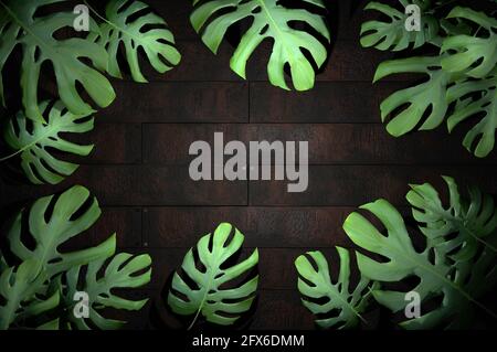 illustration 3d. feuille tropicale sur fond de bois Banque D'Images