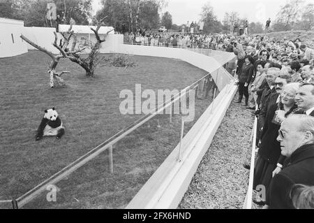 Le Prince Bernhard inaugure un abri de pandas géants en levant le drapeau du WWF ; le Prince Bernhard (r) et d'autres personnes regardant le panda, 21 mai 1987, pays-Bas, agence de presse du XXe siècle photo, news to remember, documentaire, photographie historique 1945-1990, histoires visuelles, L'histoire humaine du XXe siècle, immortaliser des moments dans le temps Banque D'Images