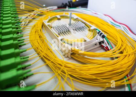 Plateau de raccordement pour fibre optique dans le cadre de distribution optique Banque D'Images