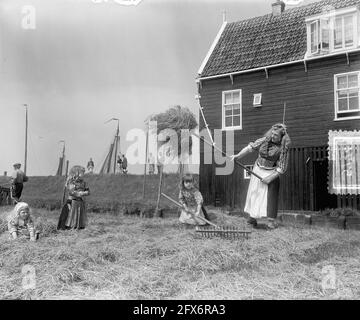 Récolte de foin sur l'île de Marken, 12 juin 1953, pays-Bas, agence de presse du XXe siècle photo, nouvelles à retenir, documentaire, photographie historique 1945-1990, histoires visuelles, L'histoire humaine du XXe siècle, immortaliser des moments dans le temps Banque D'Images