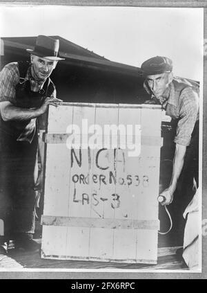 [Le navire-hôpital Orange quitte Melbourne pour une mission auxiliaire à Batavia], 22 octobre 1945, Shipping, pays-Bas, agence de presse du xxe siècle photo, nouvelles à retenir, documentaire, photographie historique 1945-1990, histoires visuelles, L'histoire humaine du XXe siècle, immortaliser des moments dans le temps Banque D'Images