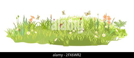 Dense prairie d'été avec des fleurs. Papillons. Épaisse pelouse verte. Zone d'herbe. Aire de jeux. Placer. Paysage magnifique. Isolé sur blanc Illustration de Vecteur