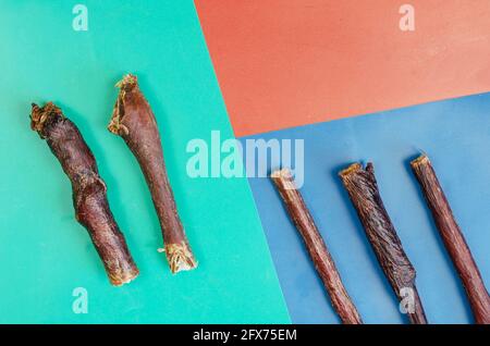 Bâtonnets de gâteries pour chiens sur fond de trois couleurs. Cinq friandises. Oesophage de bœuf séché. Fournitures pour animaux de compagnie. Animaux de compagnie. Banque D'Images