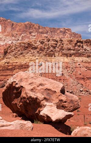 Rock en forme de crâne sur le site des habitants de Cave, sur l'autoroute 89, monument national Vermilion Cliffs, Arizona, États-Unis Banque D'Images