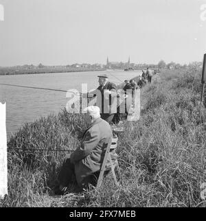 140 pêcheurs âgés sur le canal de la Hollande du Nord, 6 juin 1962, pays-Bas, agence de presse du XXe siècle photo, nouvelles à retenir, documentaire, photographie historique 1945-1990, histoires visuelles, L'histoire humaine du XXe siècle, immortaliser des moments dans le temps Banque D'Images