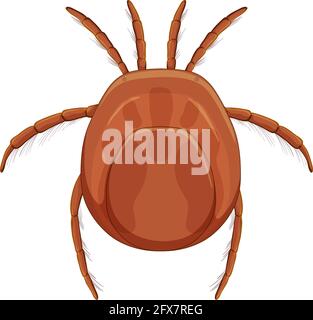 Parasite du sang de la tique dans le style de dessin animé isolé sur fond blanc illustration Illustration de Vecteur