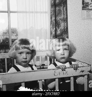 8 novembre siamois jumeaux Folkje et Tjitske de Vries de Bergum 2 years Right Folkje, 1 novembre 1955, jumeaux, pays-Bas, agence de presse du XXe siècle photo, news to Remember, documentaire, photographie historique 1945-1990, histoires visuelles, L'histoire humaine du XXe siècle, immortaliser des moments dans le temps Banque D'Images