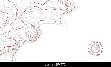 Texture de motif topographique vectoriel. Illustration vectorielle de la topographie géographique des montagnes avec contours gris. Carte sur les sentiers terrestres. Co. Graphique d'élévation Illustration de Vecteur