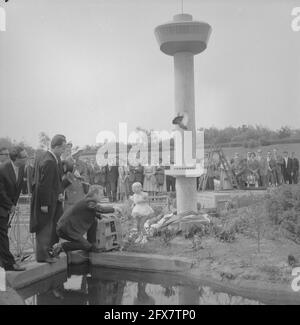 Offre de petit modèle Euromast à Madurodam, par la Catholic Student Association Sanctus Laurentius à Rotterdam, Florientje van de Floriade exécute le [texte défacé], 27 mai 1960, Scale Models, pays-Bas, agence de presse du xxe siècle photo, nouvelles à retenir, documentaire, photographie historique 1945-1990, histoires visuelles, L'histoire humaine du XXe siècle, immortaliser des moments dans le temps Banque D'Images