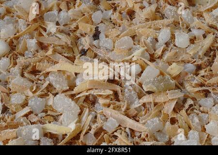 aliments pour animaux à base de feuilles de riz finement moulées Banque D'Images