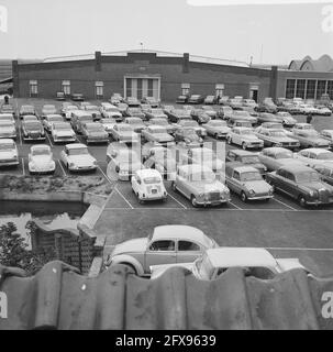 Bulbes de fleurs en cours de conduite dans les halls de vente aux enchères [vente aux enchères de bulbes de fleurs de l'Ouest-Frise à Bovenkarspel], automobiles garées des rois de bulbes, 7 septembre 1965, voitures, bulbes de fleurs, Halls de vente aux enchères, pays-Bas, agence de presse du XXe siècle photo, news to remember, documentaire, photographie historique 1945-1990, histoires visuelles, L'histoire humaine du XXe siècle, immortaliser des moments dans le temps Banque D'Images