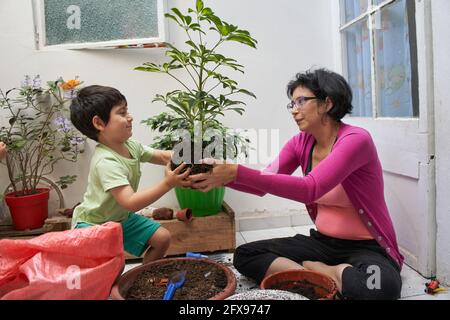 Gros plan d'une mère et d'un enfant hispaniques prendre la plante en pot Banque D'Images