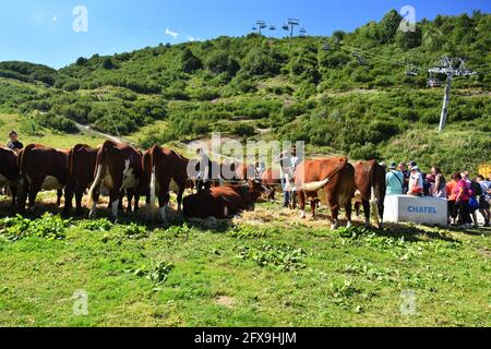 Chatel, France - 18 août 2019. Festival d'été à Chatel , Alpes françaises, portes du Soleil, haute Savoie, France. Banque D'Images