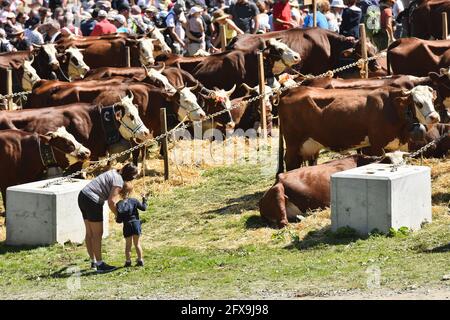 Chatel, France - 18 août 2019. Festival d'été à Chatel , Alpes françaises, portes du Soleil, haute Savoie, France. Banque D'Images