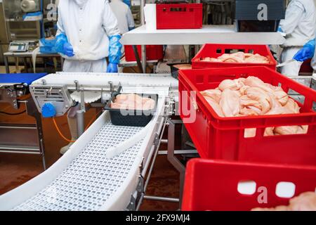 Ligne de production de filets de poulet . Usine pour la production d'aliments à partir de viande.transformation de la viande dans l'industrie alimentaire.emballage des tranches de viande dans des boîtes sur une CO Banque D'Images