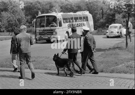 Équipe nationale bulgare à Kamen pour la coupe du monde 74; garde à bus bulgare (avec chiens) et pendant le trajet, 13 juin 1974, CHIENS, gardes, Équipes, sports, football, pays-Bas, agence de presse du XXe siècle photo, news to remember, documentaire, photographie historique 1945-1990, histoires visuelles, L'histoire humaine du XXe siècle, immortaliser des moments dans le temps Banque D'Images