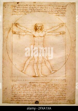 Italie, Venise, Gallerie dell'Accademia, Léonard de Vinci, Vitruvian Banque D'Images