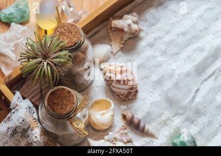 Image d'une petite usine d'air sur un plateau en bois avec des bouteilles en verre et des coquillages. Dans l'arrière-plan des pierres semi-précieuses. Banque D'Images