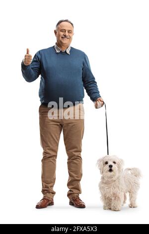 Portrait complet d'un homme mûr souriant avec un chien maltais en forme de cochon avec ses pouces isolés sur fond blanc Banque D'Images