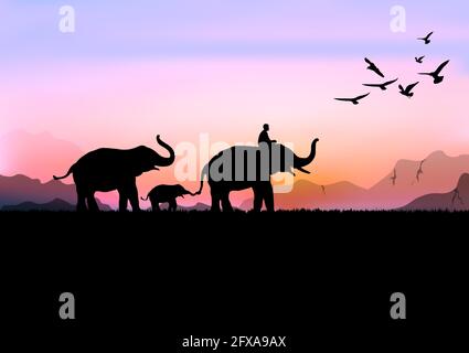 Image de silhouette éléphant noir avec éléphant mahout marche à la Forêt avec fond de montagne et de coucher de soleil soir vecteur de lumière Illustration Illustration de Vecteur