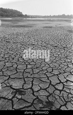 Sécheresse : plaine fissurée près de Leersum, 16 juillet 1976, sécheresse, pays-Bas, agence de presse du xxe siècle photo, nouvelles à retenir, documentaire, photographie historique 1945-1990, histoires visuelles, L'histoire humaine du XXe siècle, immortaliser des moments dans le temps Banque D'Images