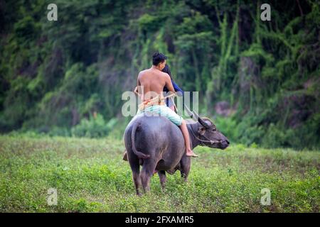 Couple fermier en costume de fermier avec buffle, campagne de la Thaïlande Banque D'Images