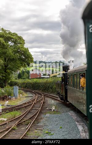 Zillertal Locomotive et calèches approchant la gare de Llanfair, Welshpool & Llanfair Light Railway, Powys, pays de Galles. Banque D'Images