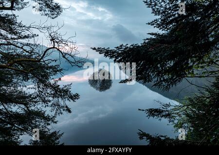 Sping Dawn Misty Morning, Lake Vernwy, Powys, pays de Galles. Banque D'Images