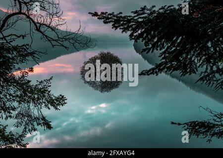 Sping Dawn Misty Morning, Lake Vernwy, Powys, pays de Galles. Banque D'Images