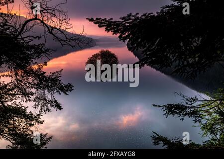 Sping Dawn Misty Morning, Lake Vernwy, Powys, pays de Galles. Banque D'Images