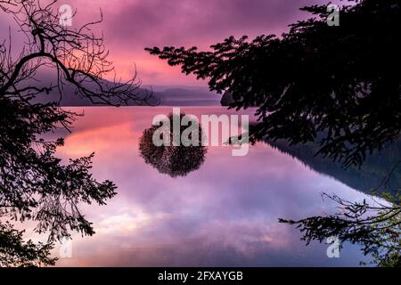 Sping Dawn Misty Morning, Lake Vernwy, Powys, pays de Galles. Banque D'Images