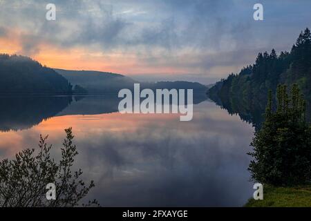 Sping Dawn Misty Morning, Lake Vernwy, Powys, pays de Galles. Banque D'Images