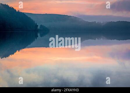 Sping Dawn Misty Morning, Lake Vernwy, Powys, pays de Galles. Banque D'Images