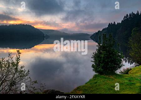 Sping Dawn Misty Morning, Lake Vernwy, Powys, pays de Galles. Banque D'Images