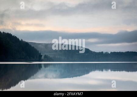 Sping Dawn Misty Morning, Lake Vernwy, Powys, pays de Galles. Banque D'Images