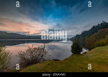 Sping Dawn Misty Morning, Lake Vernwy, Powys, pays de Galles. Banque D'Images