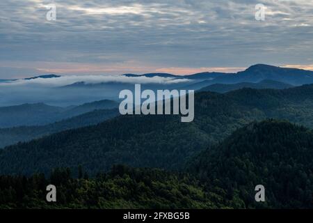 Vue depuis Hochblauen sur les montagnes environnantes à l'aube brumeuse Banque D'Images