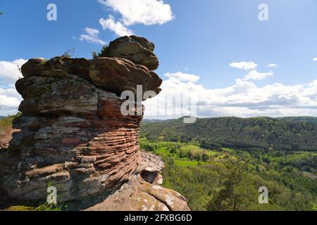 Un beau panorama près de la geiersteine sur la forêt du Palatinat au printemps, Allemagne, rhénanie-palatinat Banque D'Images