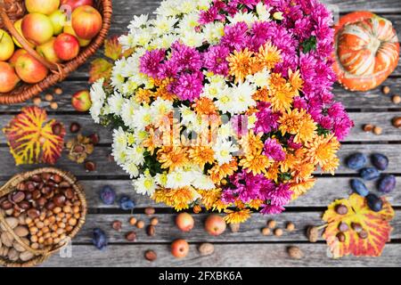 Récolte d'automne incluant un bouquet de chrysanthèmes fleuris, divers noix, pommes, citrouille, prunes et feuilles de raisin Banque D'Images