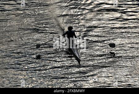 26 mai 2021, Hessen, Francfort-sur-le-main: Une rameuse prend son cours sur le main dans la soirée. Photo: Arne Dedert/dpa Banque D'Images