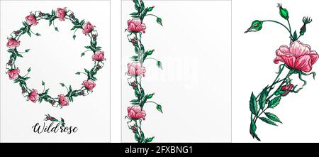 un ensemble de cartes postales avec fleurs de rose. Fleurs roses. Rose. Illustration de Vecteur