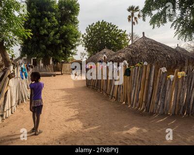 Sénégal, Afrique - janvier 2019 : petit village africain traditionnel avec maisons en argile recouvertes de feuilles de palmier Banque D'Images