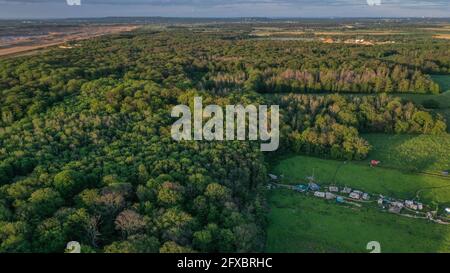 Vue aérienne de la forêt de Hambach et des militants ennemis du charbon brun camp Banque D'Images