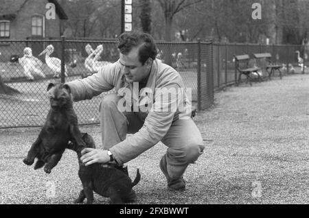 Jeunes hyènes marchant avec le sitter à Artis, 6 février 1961, MARCHANT, pays-Bas, agence de presse du xxe siècle photo, nouvelles à retenir, documentaire, photographie historique 1945-1990, histoires visuelles, L'histoire humaine du XXe siècle, immortaliser des moments dans le temps Banque D'Images